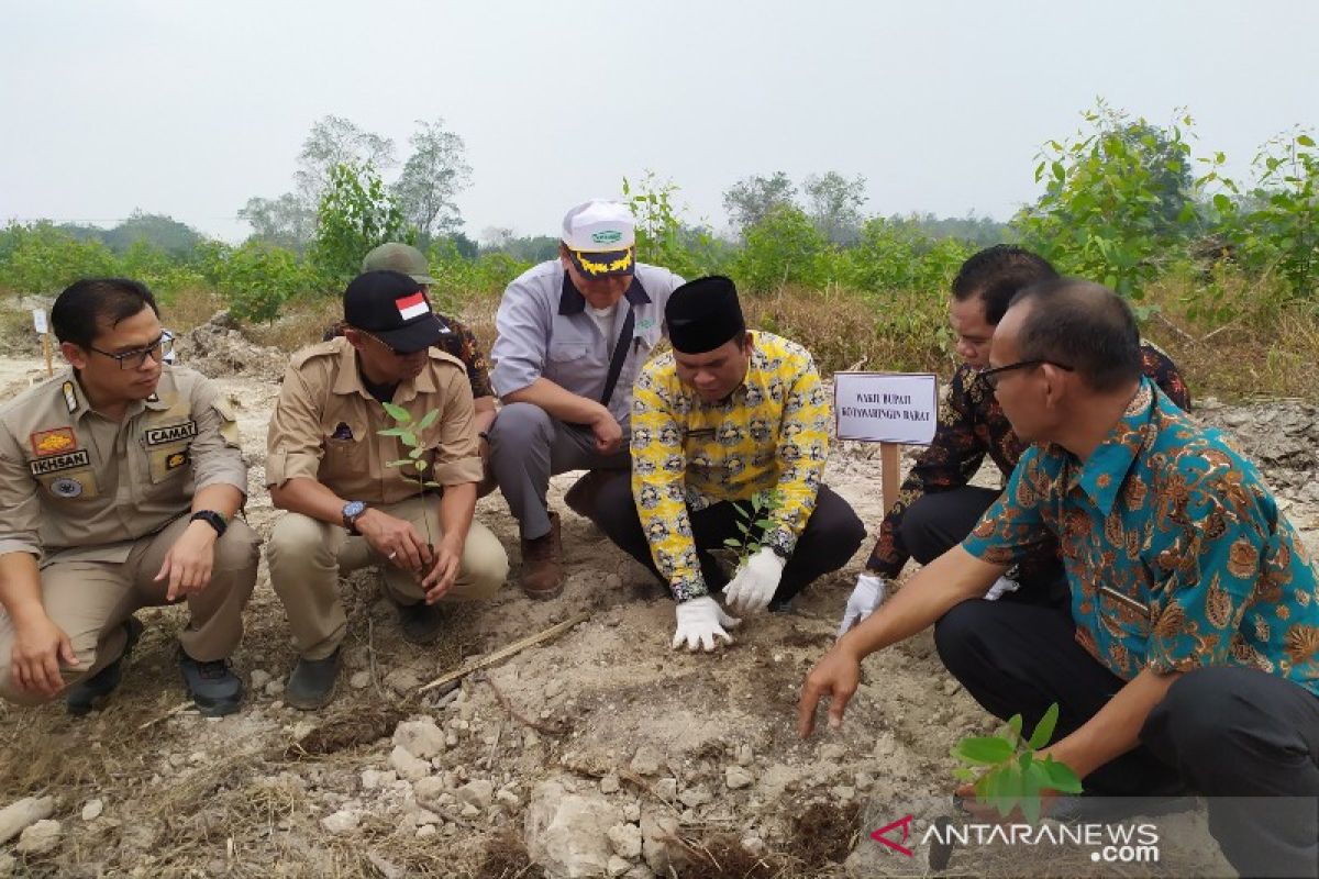 Kobar mulai kembangkan hutan hak dengan pola kemitraan