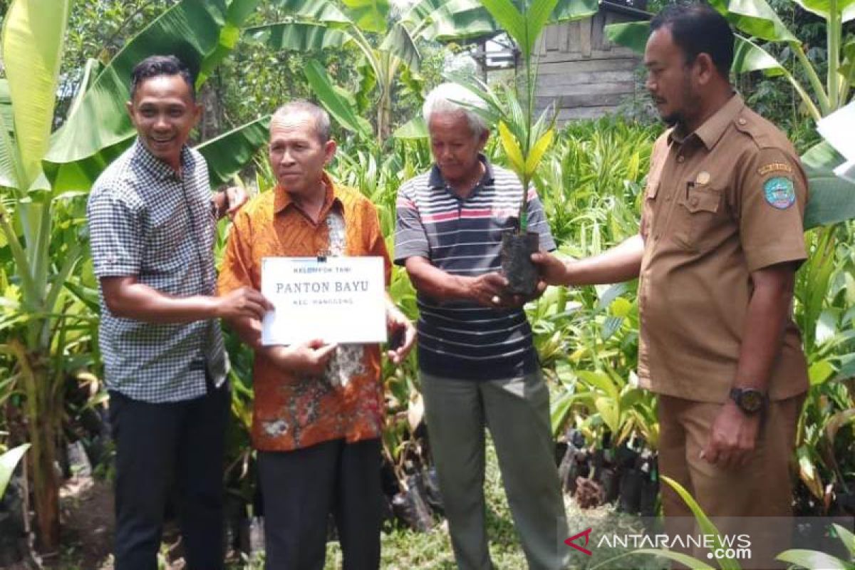 Ratusan ribu bibit pinang unggul disalurkan untuk petani Abdya