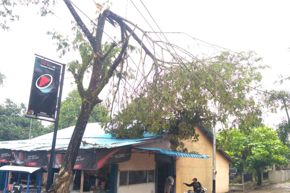 PLN gerak cepat atasi gangguan akibat angin puting beliung