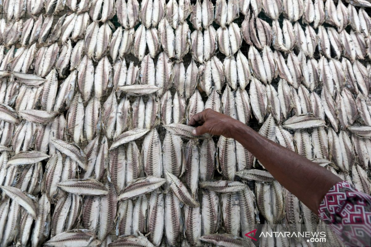 Industri rumah tangga ikan kayu