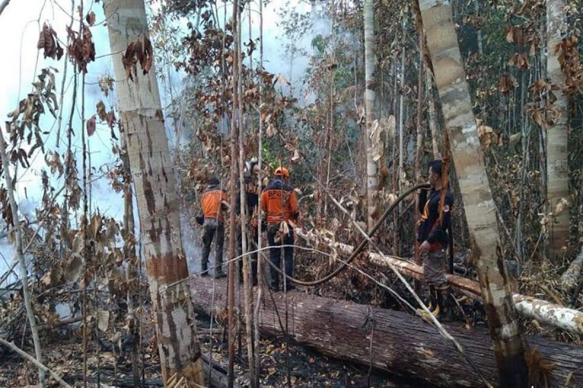 Desa Trahean dan Kamawen lokasi fokus pemadaman karhutla