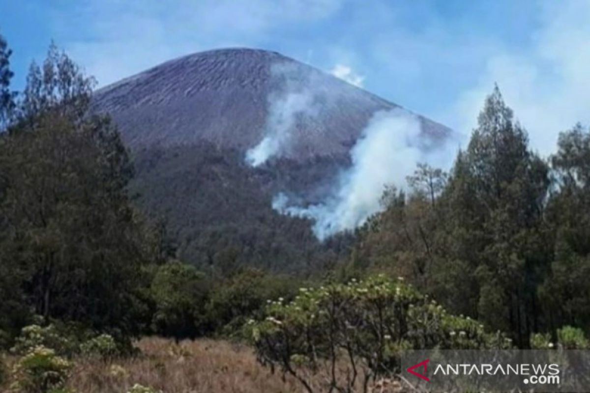 Luas hutan Gunung Semeru yang terbakar capai 198 hektare