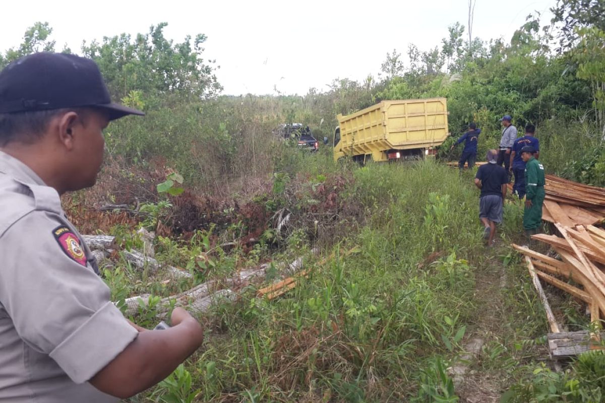 Lahan untuk penyelamat orang utan dirambah sejumlah orang