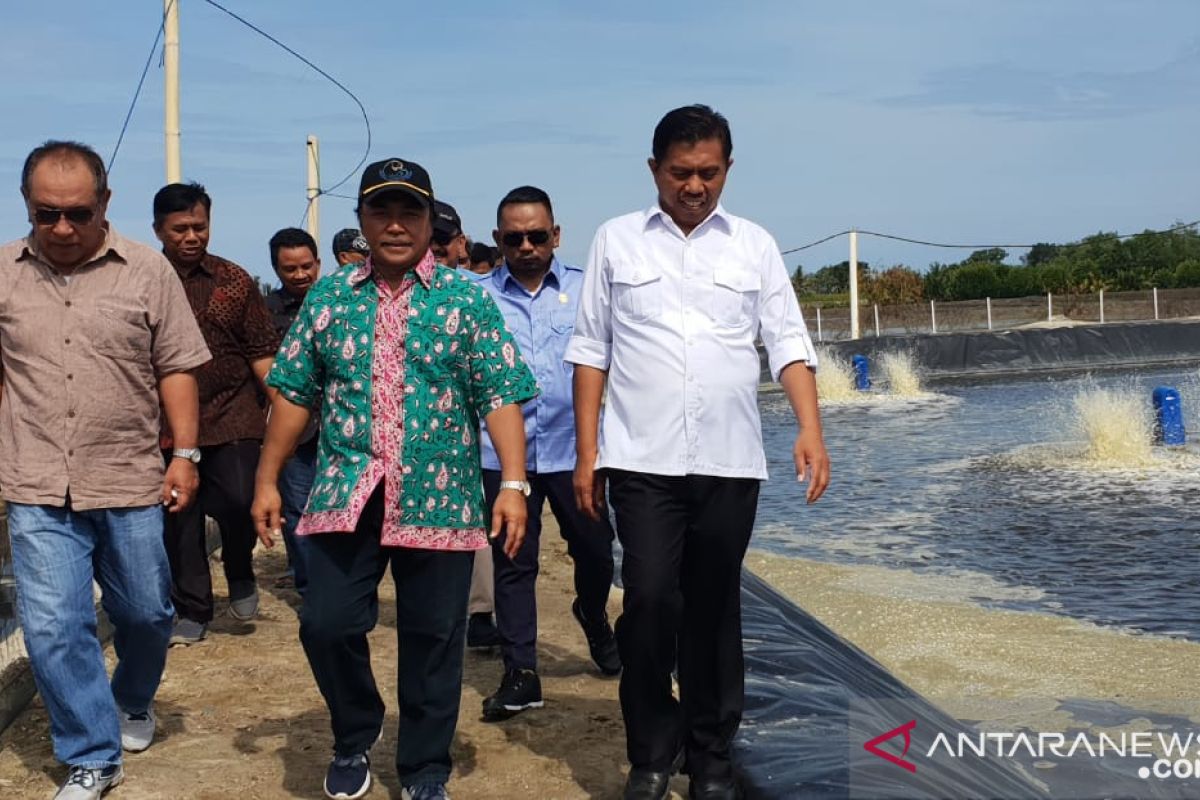 Pemkab Gorontalo Utara perlu serius kembangkan budidaya udang vaname