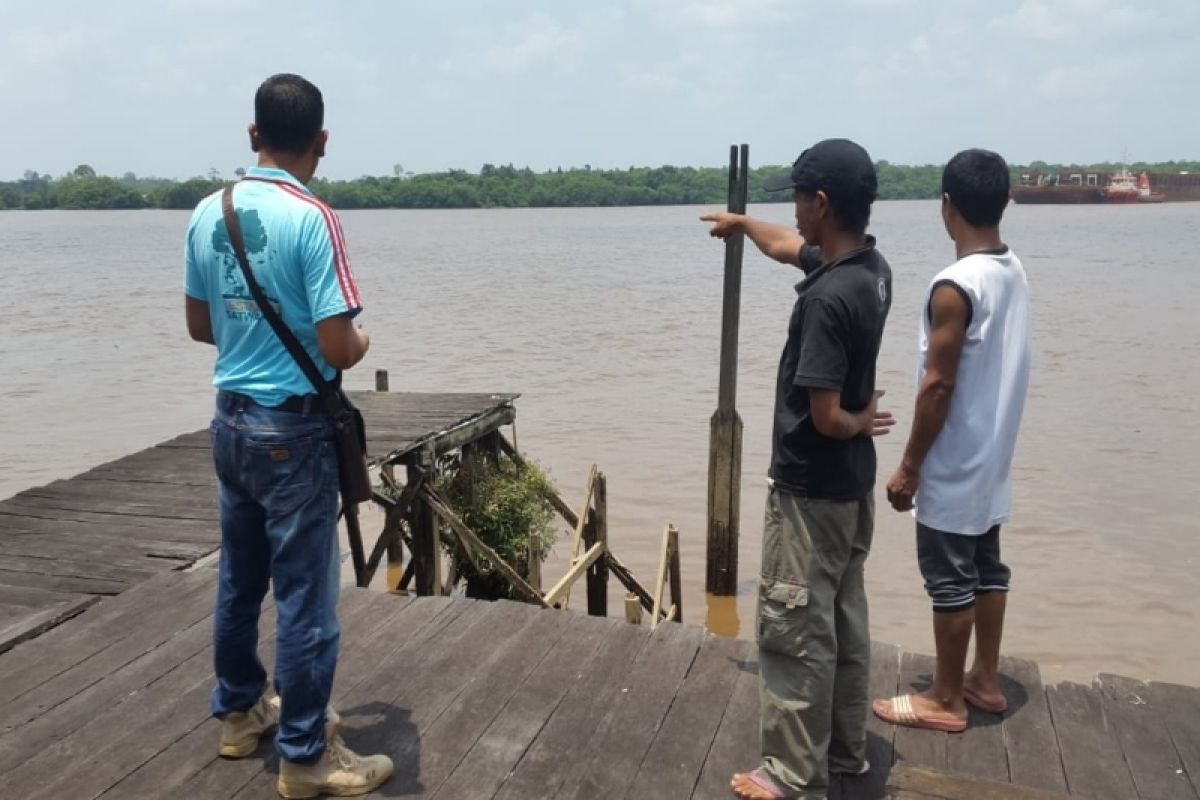 Buaya makin sering muncul menjelang tradisi Mandi Safar