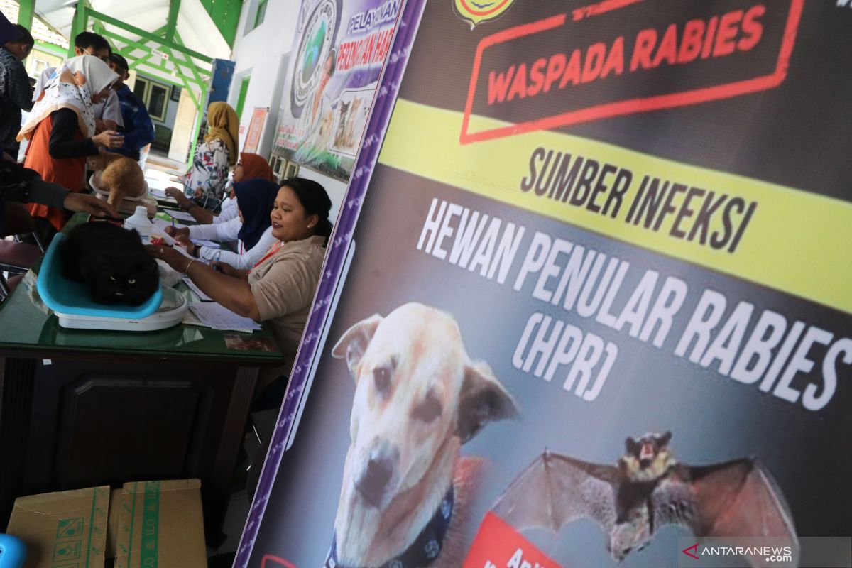 Tiga anak di Gorontalo Utara terduga korban gigitan anjing gila