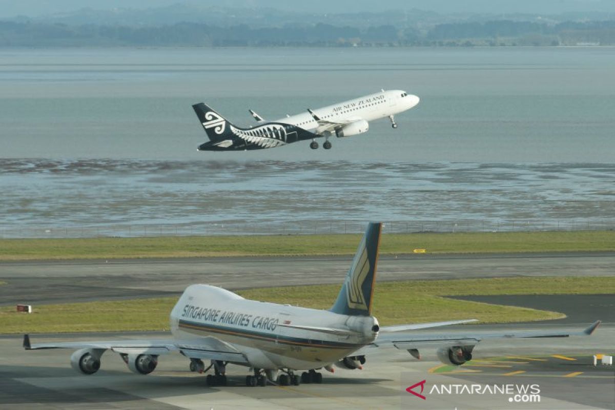 Penerbangan Selandia Baru sempat dihentikan karena gangguan radar
