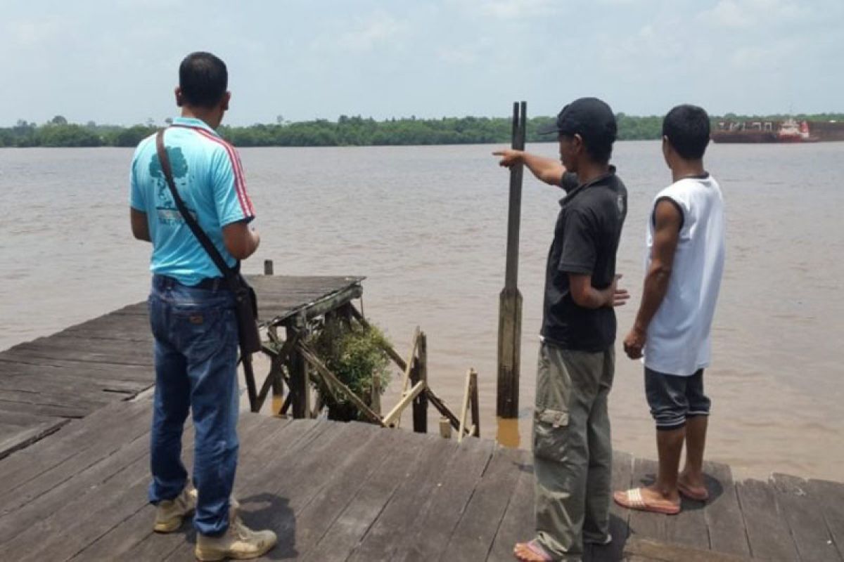 BKSDA antisipasi kemunculan buaya di Sungai Mentaya saat Mandi Safar