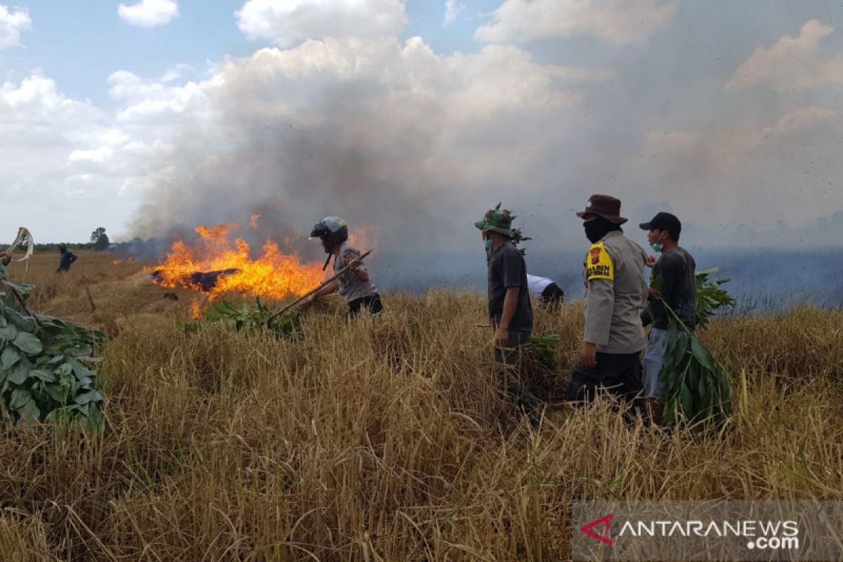 Kompak mencegah dan menanggulangi karhutla