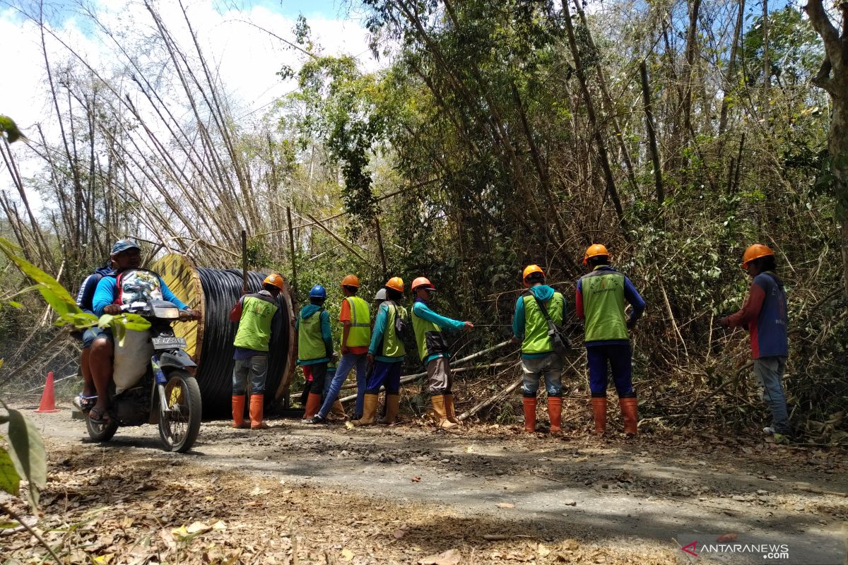 PLN siap terangi hutan tertua di Pulau Jawa akhir Oktober 2019