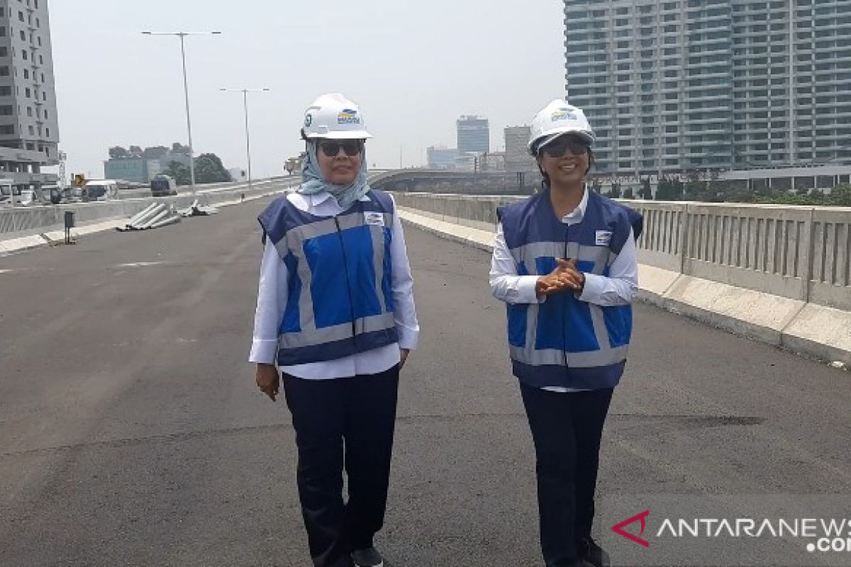 Rini Soemarno yakin tol layang Japek Elevated beroperasi sebelum Natal