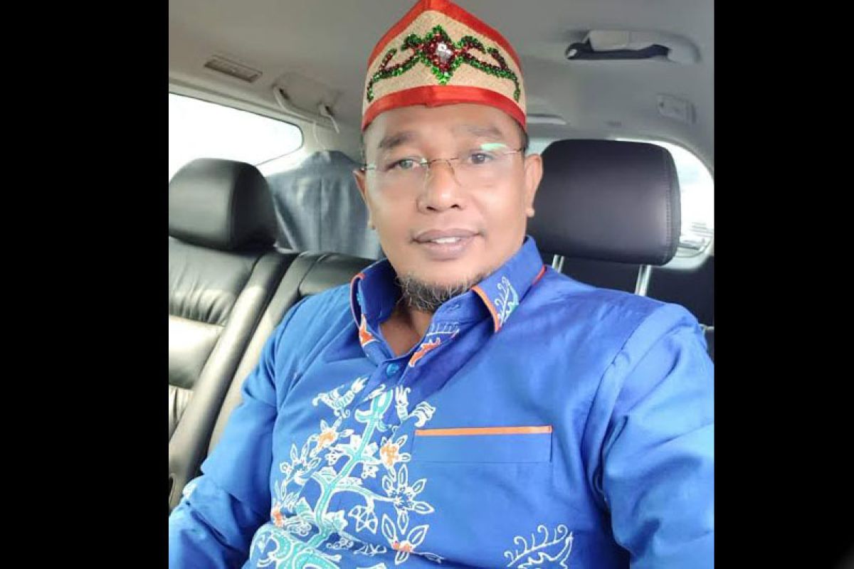 Kalteng aman dari virus Corona, kata Wagub Habib Ismail