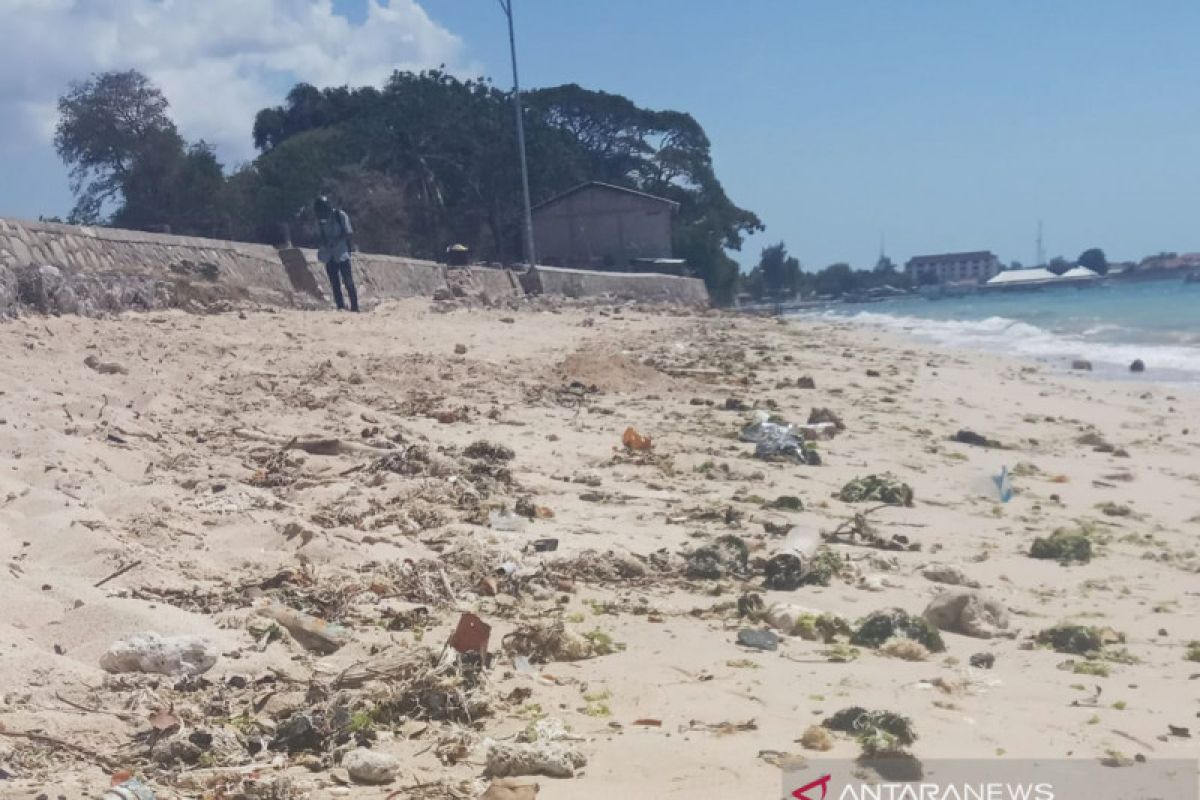 Walhi sebut Pantai Pasir Panjang jadi titik krusial kerusakan lingkungan