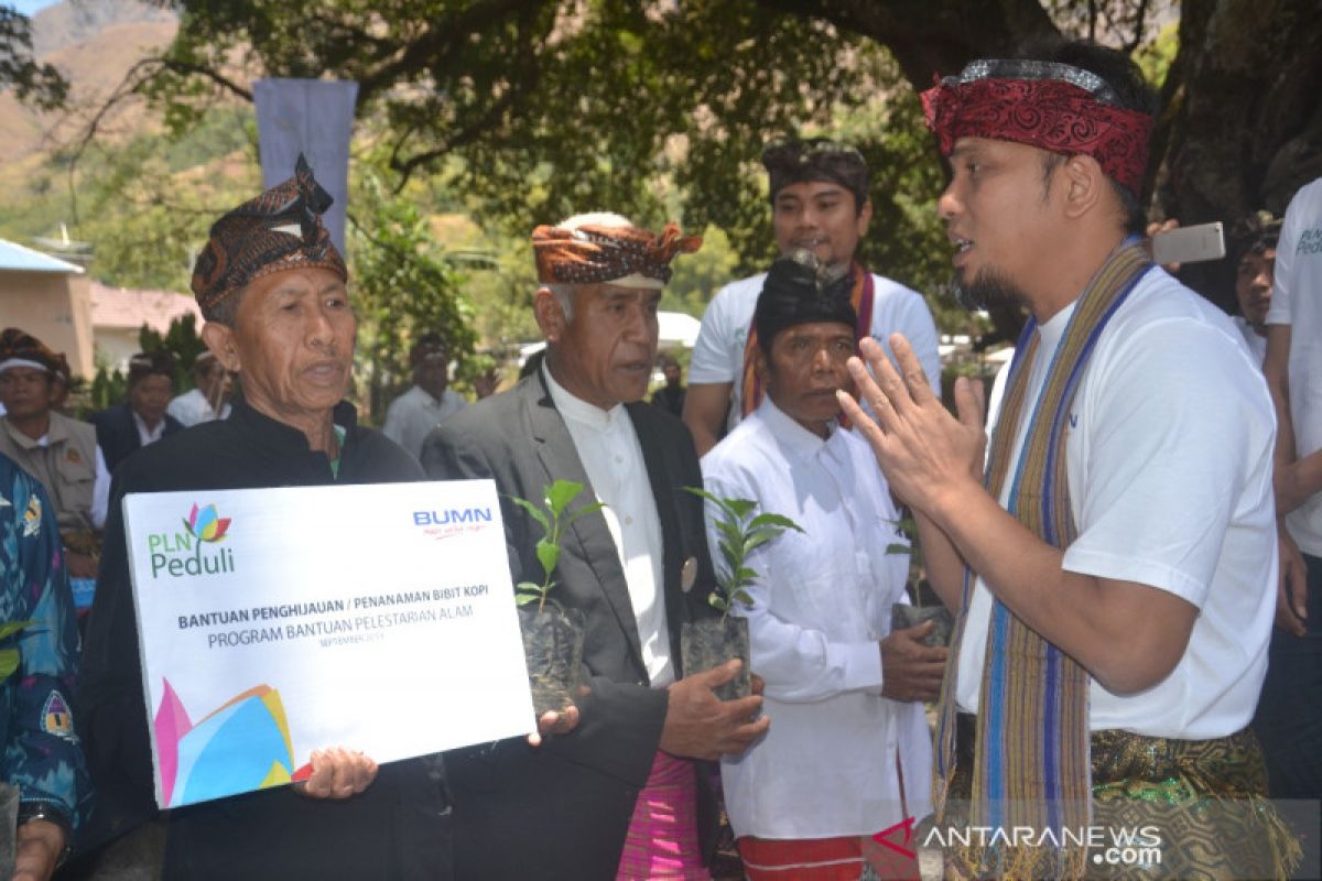 PLN bantu kembalikan kejayaan kopi Sembalun NTB