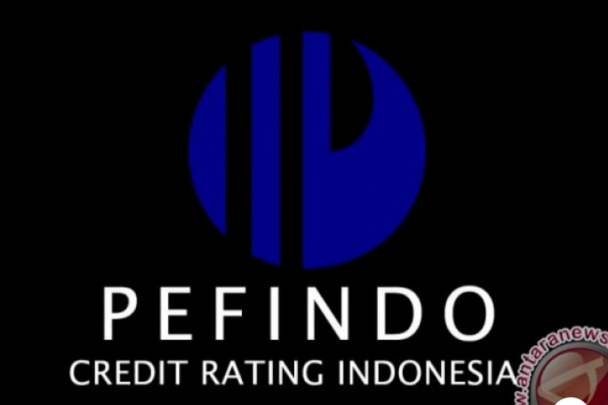 Pefindo naikkan peringkat utang APL jadi idBBB+