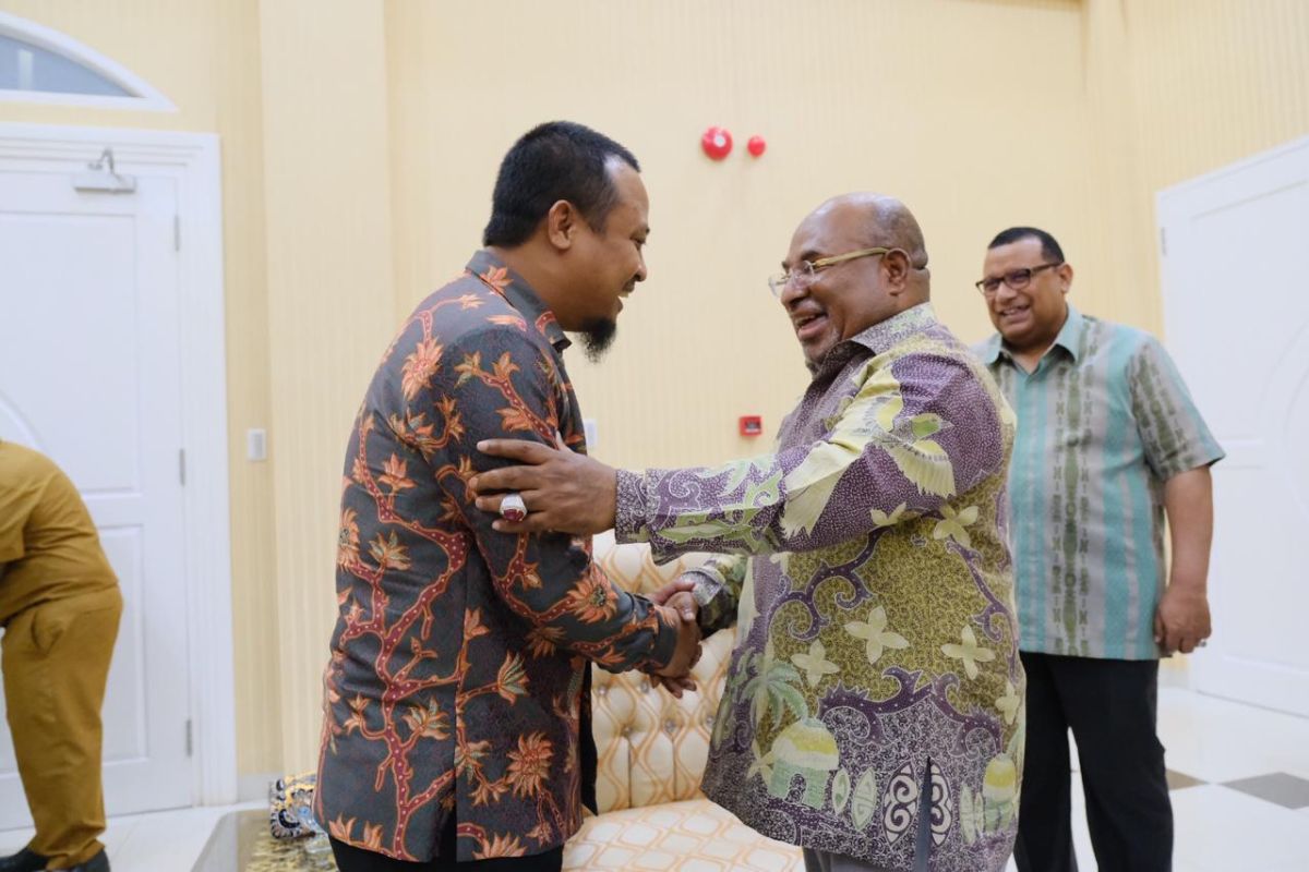 Wagub Sulsel bertemu Gubernur Papua