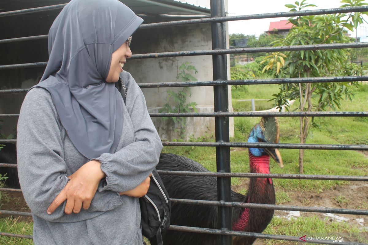 Gubernur Sulsel jadwalkan buka workshop pelestarian burung liar