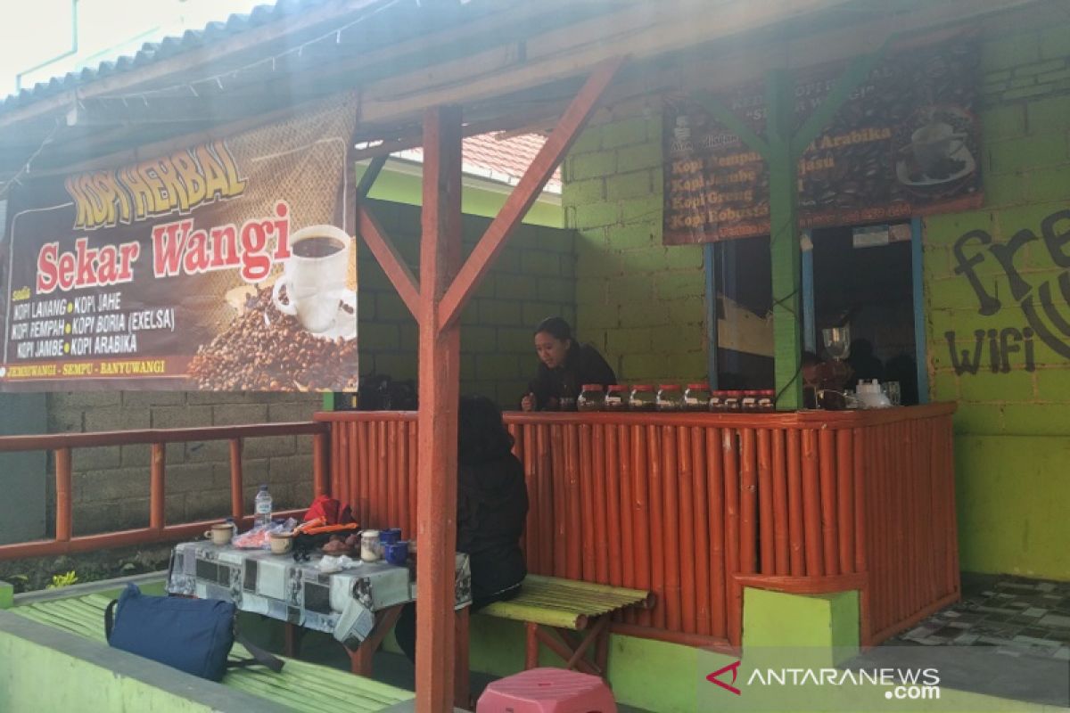 Menyeruput Kopi Banyuwangi di kaki Gunung Raung