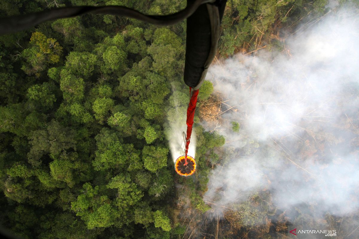 Tiga heli pemadam karhutla dipindahkan dari Riau