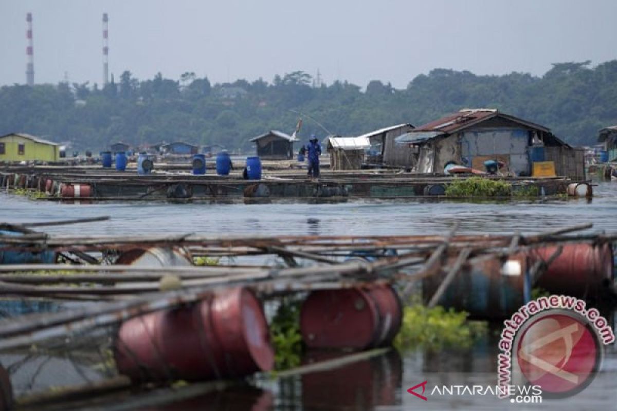 Jumlah keramba jaring apung di Waduk Jatiluhur makin tak terkendali