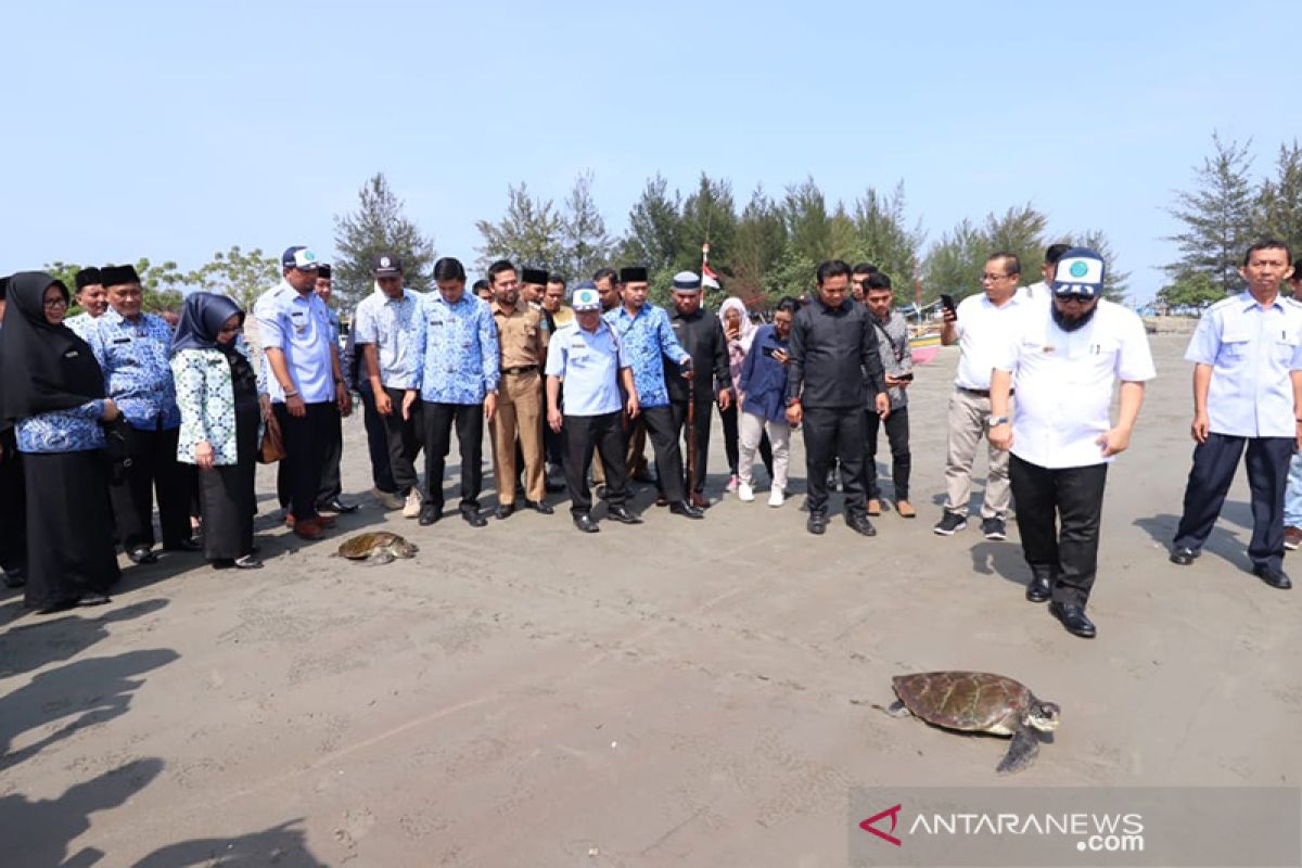 Dua penyu yang masuk jaring nelayan dilepasliarkan