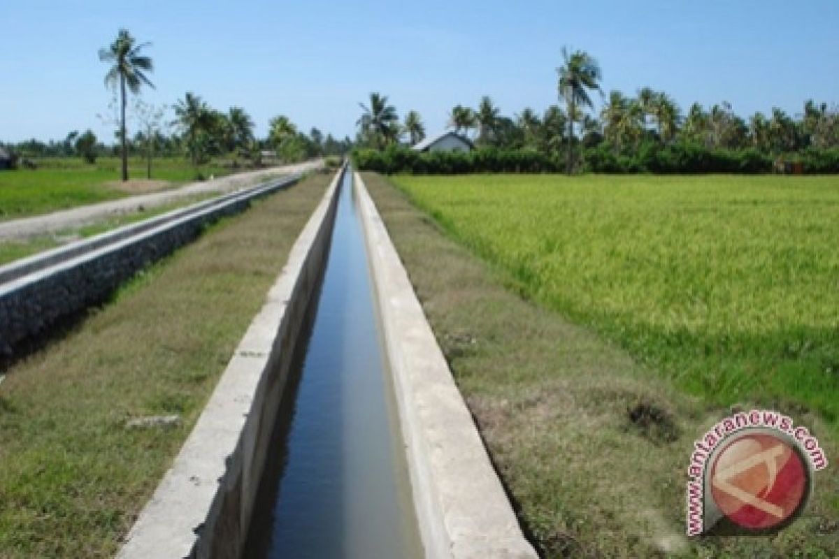 Ketersediaan air irigasi di sebagian wilayah Bantul 'kritis'