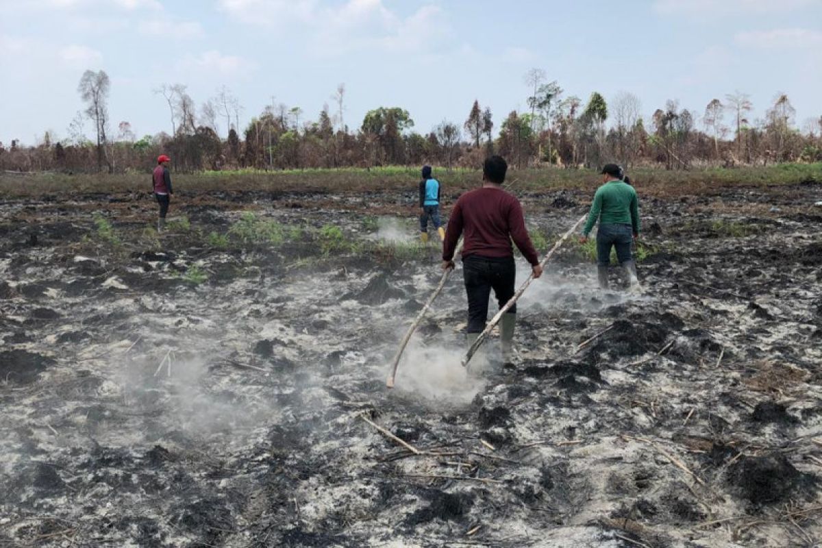 Anggota DPRD Riau mengkritisi kinerja pemadam karhutla