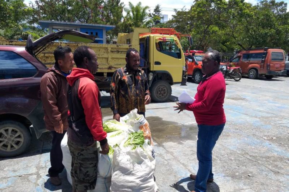 Masyarakat asli Jayawijaya bantu sayur-mayur untuk pengungsi