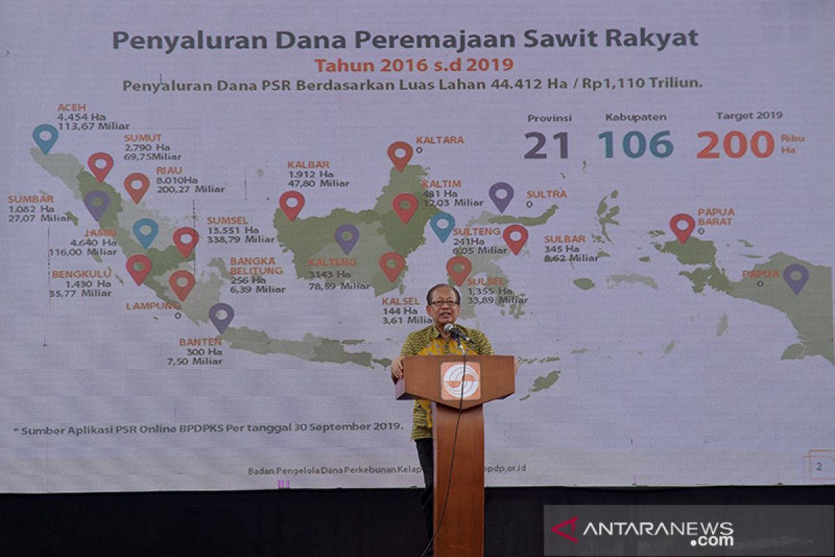 BPDP-KS nilai peremajaan sawit rakyat 2019 sulit capai target 200.000 Hektare
