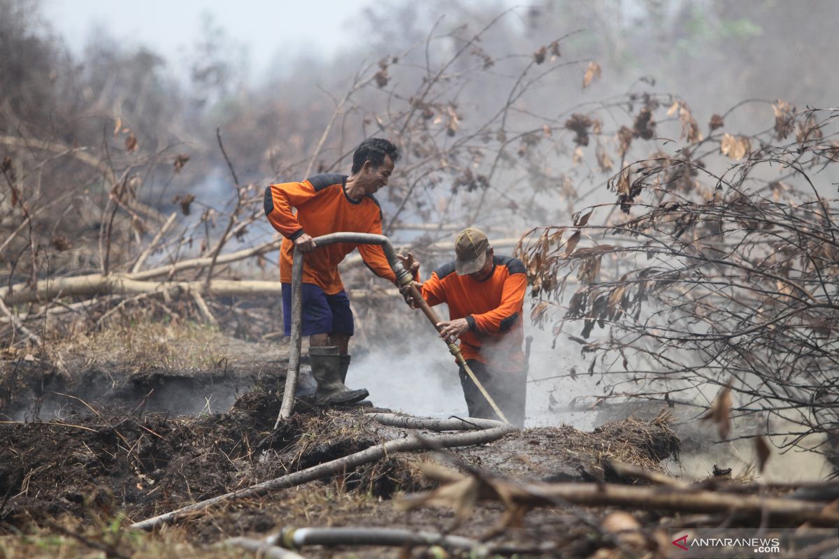 Kalteng merupakan provinsi dengan lahan terbakar terbesar