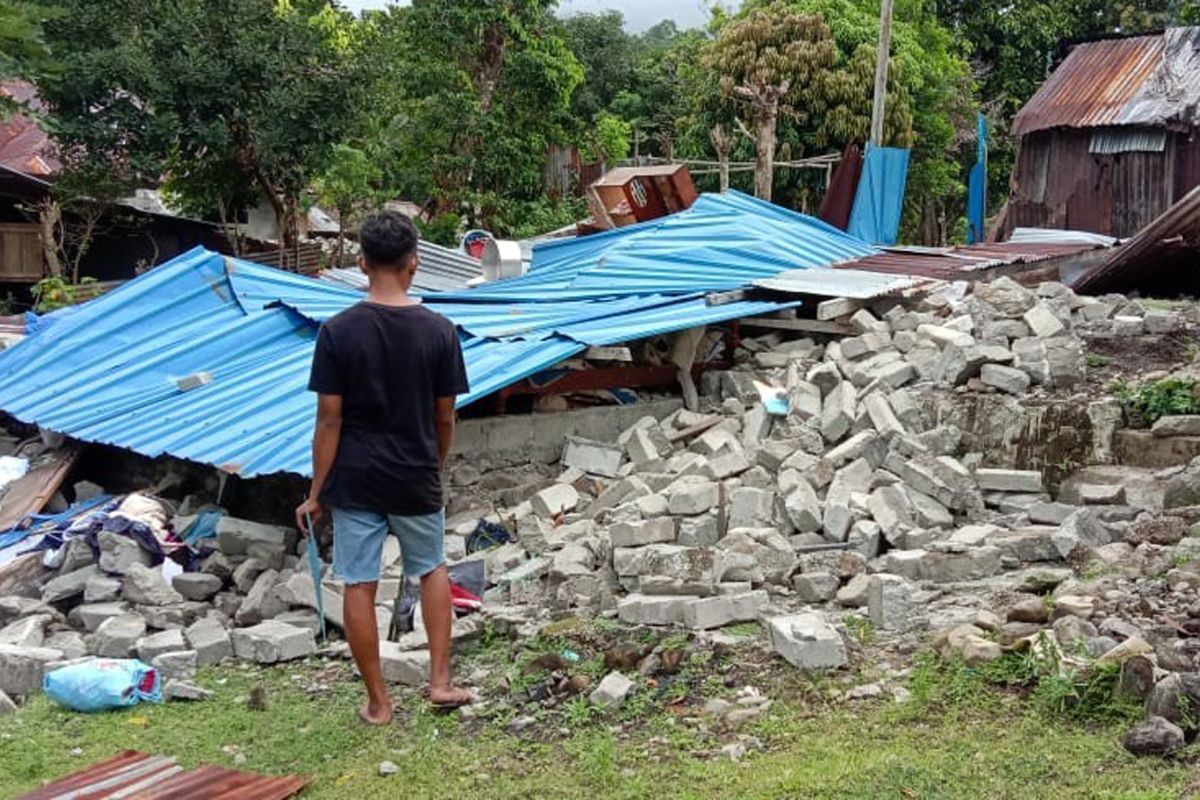 6.184 rumah rusak akibat gempa Maluku