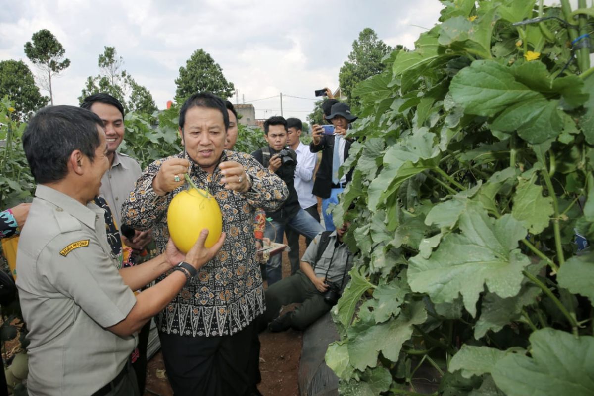Gubernur Lampung siap jadikan Kartu Petani Berjaya proyek percontohan nasional