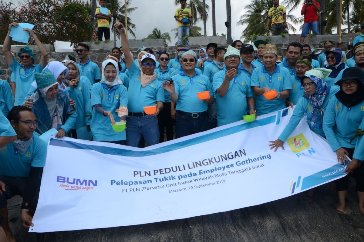 Peduli Kelestarian Lingkungan, PLN UIW NTB Lepas Tukik