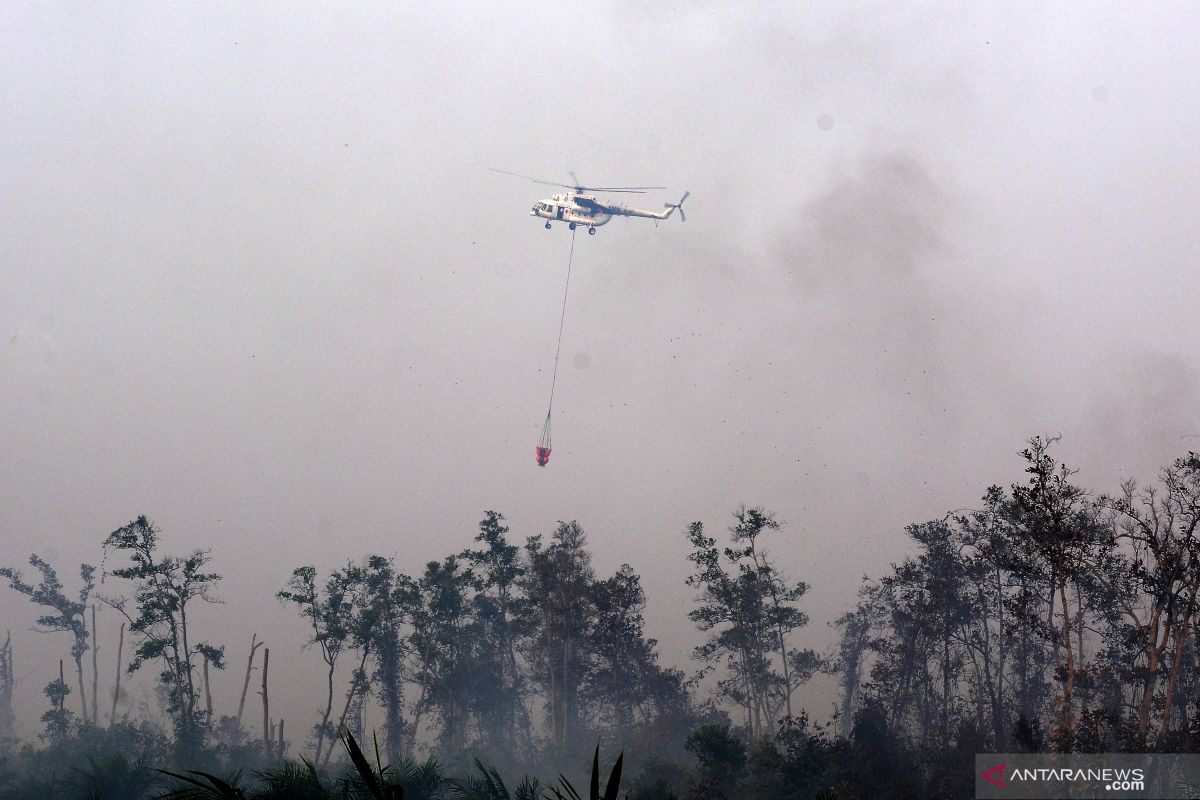 3,155 natural disasters hit Indonesia: BNPB