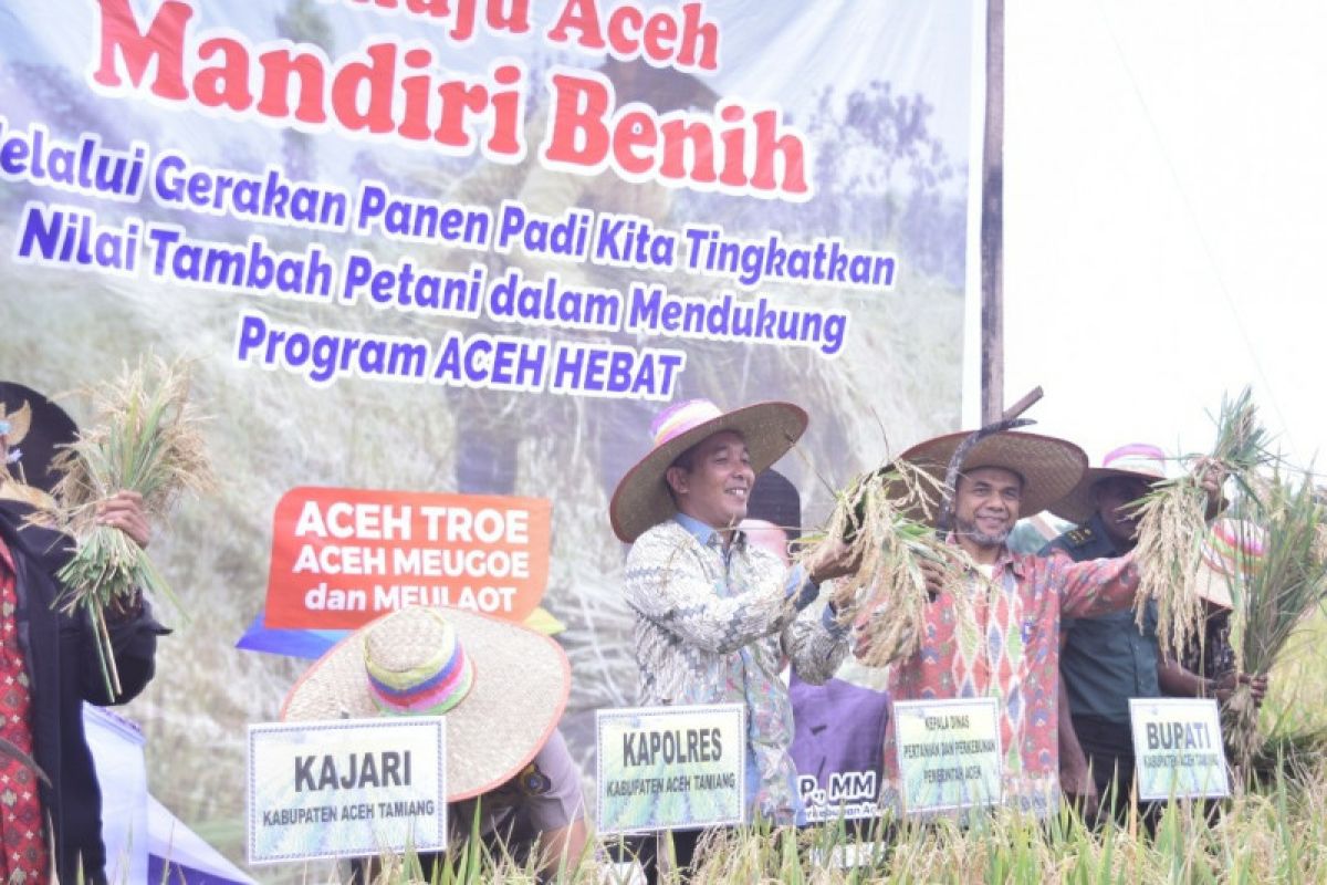 Wabup Aceh Tamiang tegaskan petani gunakan bernih padi bersertifikat