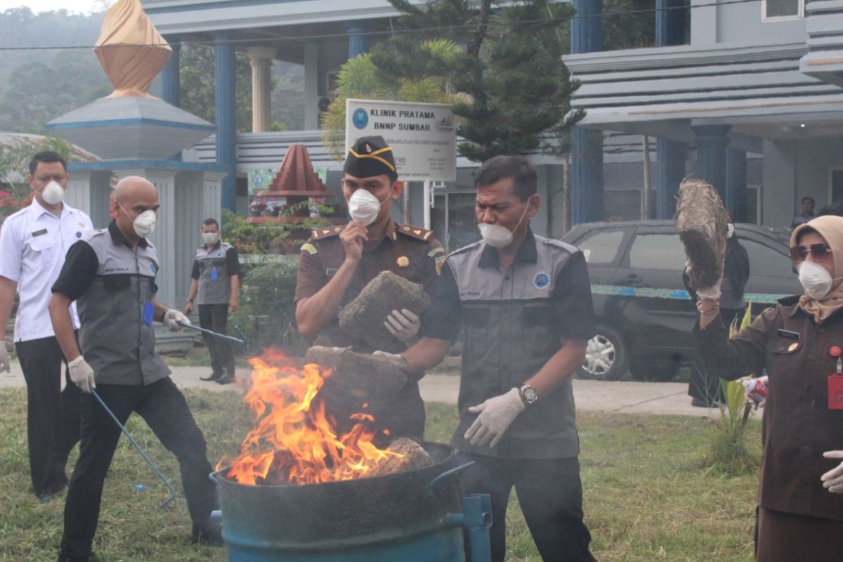 153 kilogram ganja kering dari dua tersangka dimusnahkan BNN Sumbar