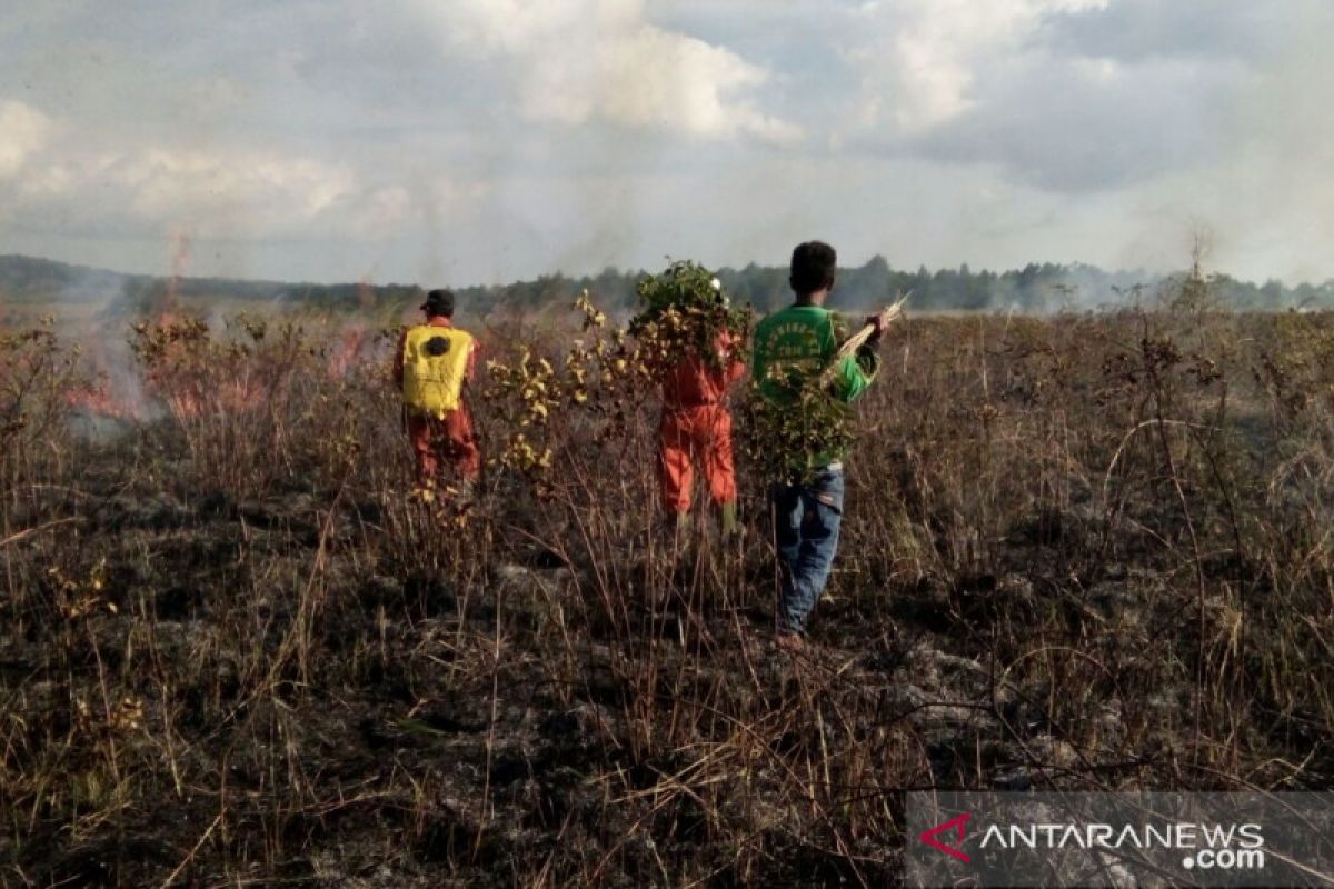 Balai TN Matalawa lakukan pendataan dampak kebakaran lahan