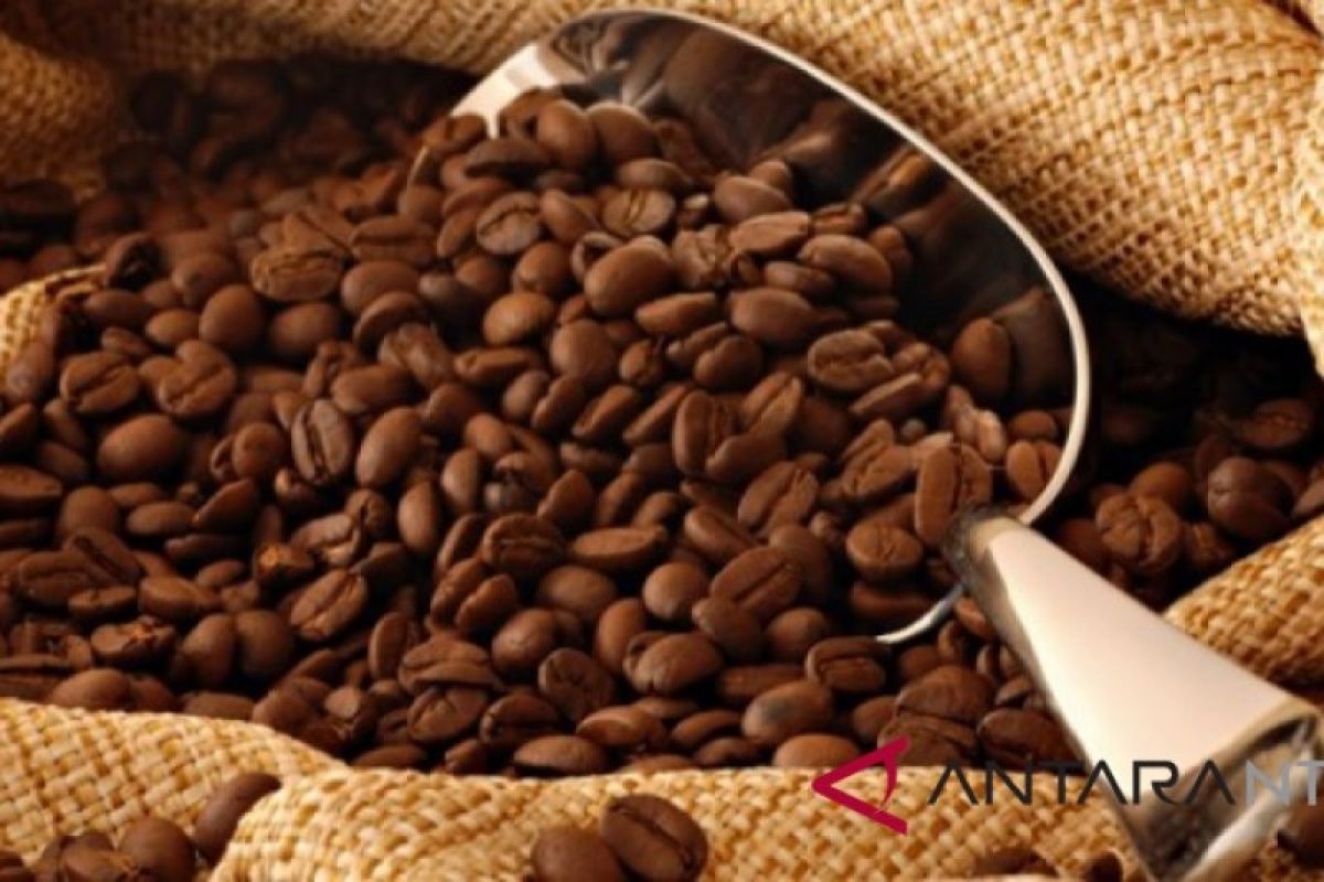Pemasaran kopi arabika Flores sebaiknya terintegrasi