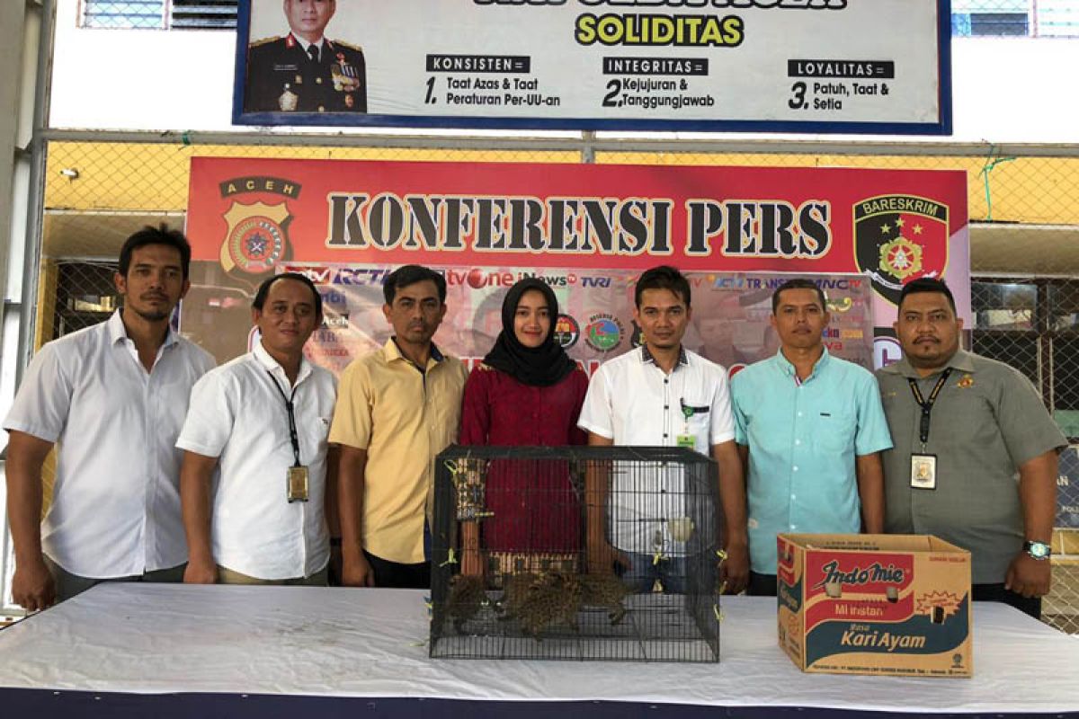 Polisi Banda Aceh tangkap penjual satwa dilindungi