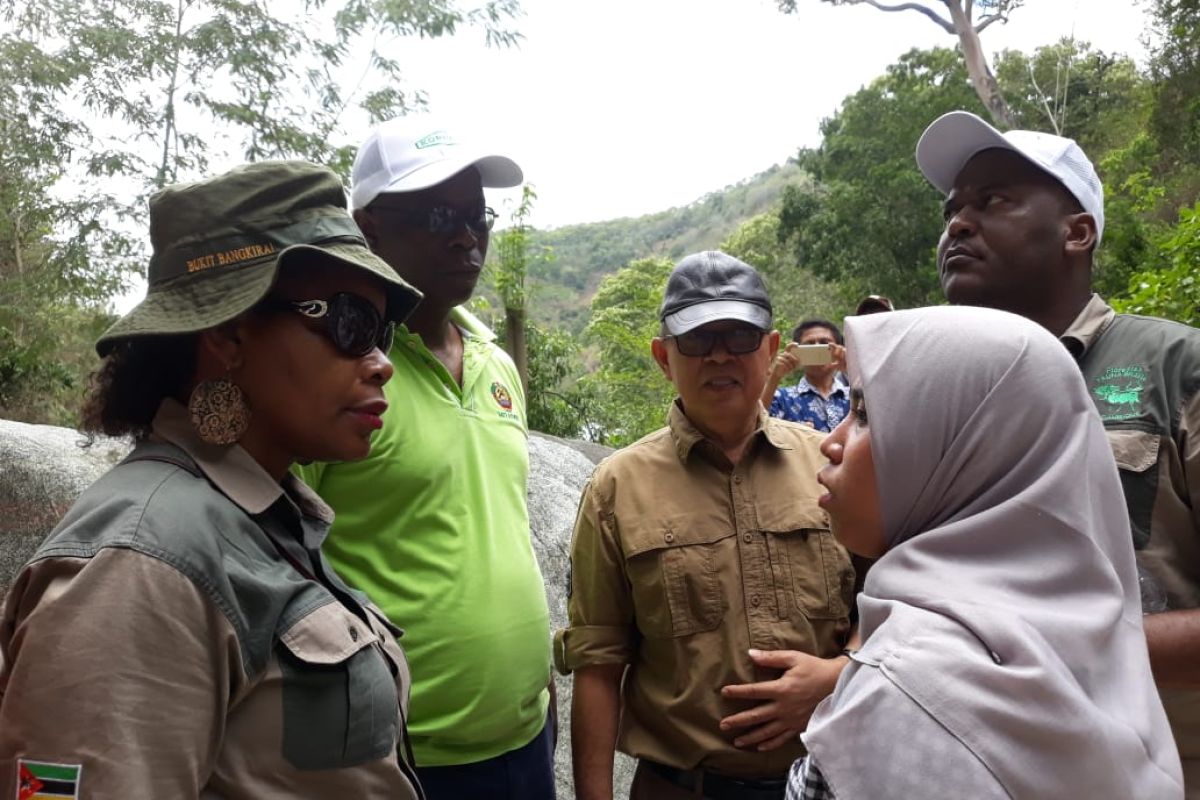 Pemerintah Mozambik-FAO studi banding pengelolaan hutan di Sulteng