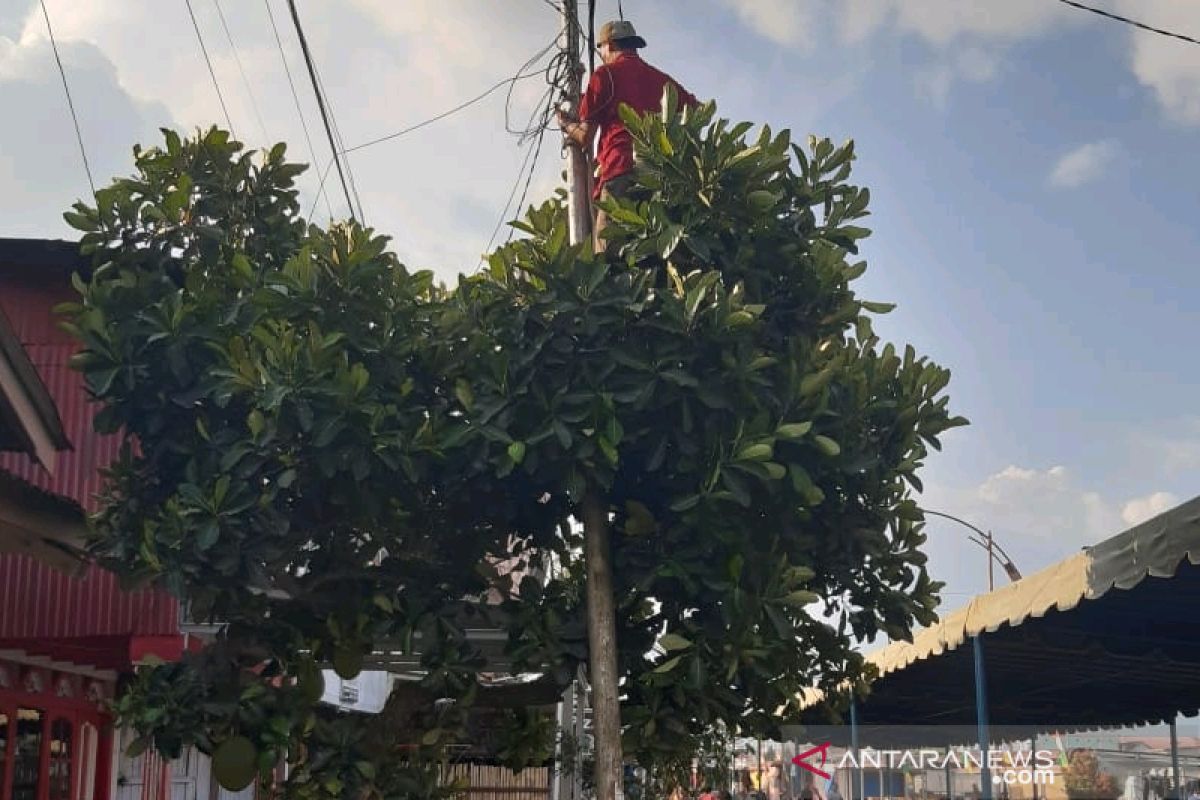 17 ribu Kwh listrik senilai Rp25 juta dukung pameran HUT ke-74 Taput