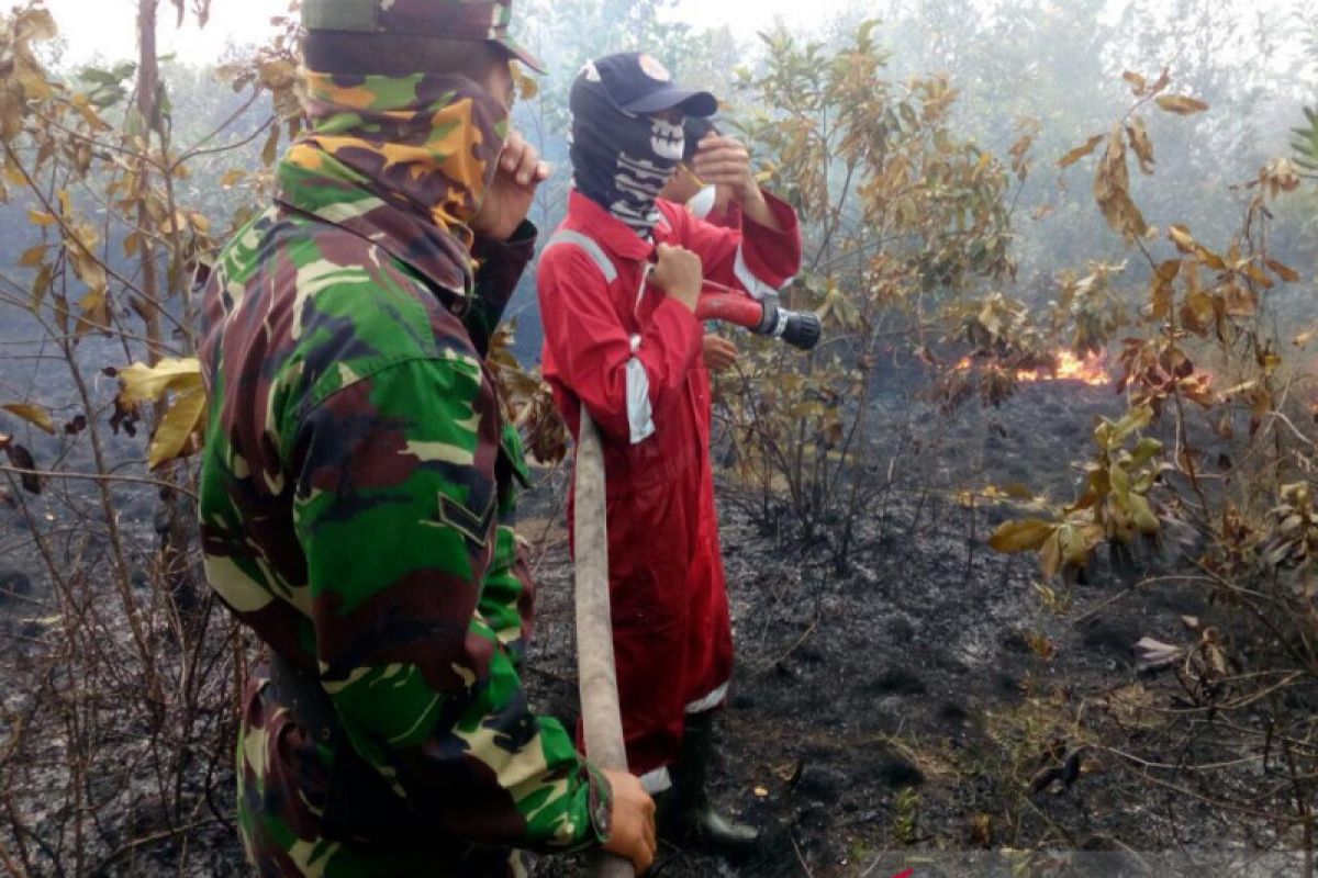 Sekat api efektif cegah kebakaran hutan-lahan di OKU Timur