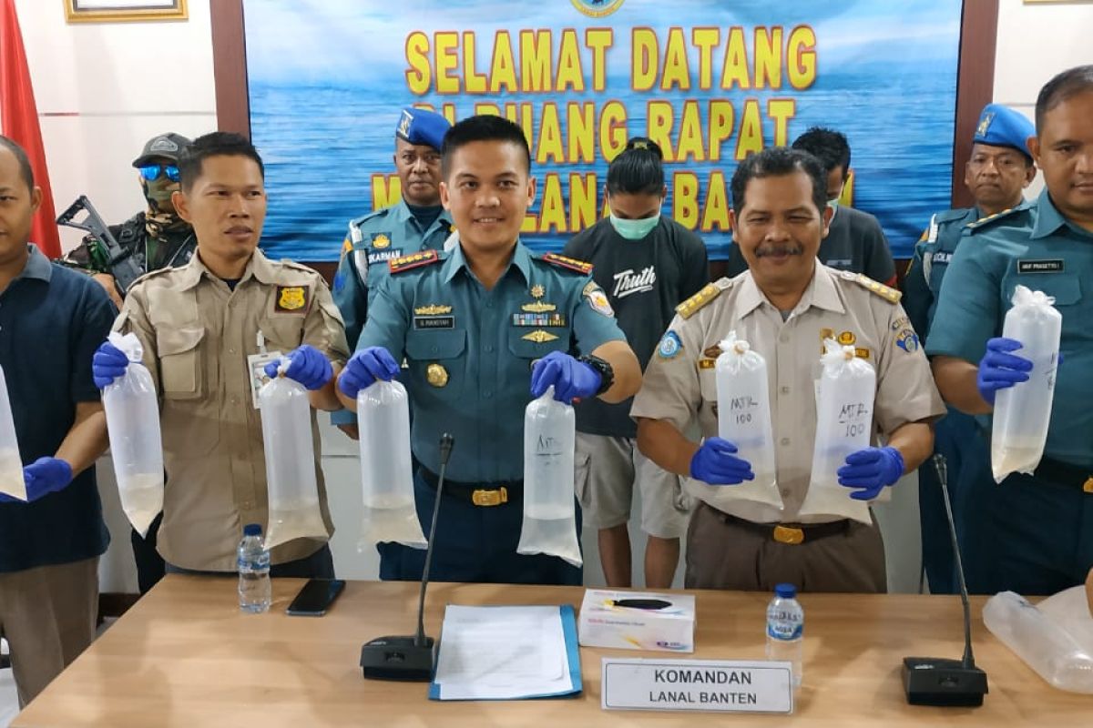 Tim Gabungan Lanal Banten gagalkan penyelundupan benih lobster senilai Rp17,8 miliar