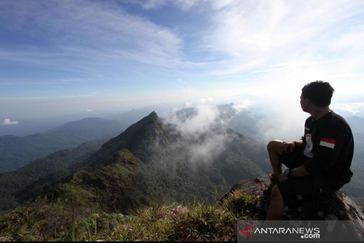 Bagi penggemar wisata aneh,  cobalah sensasi pegunungan Meratus