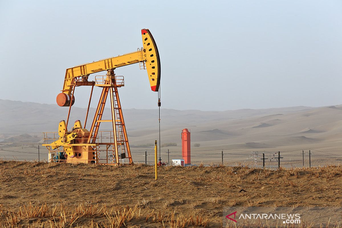 Ladang gas besar ditemukan di Tarim Xinjiang