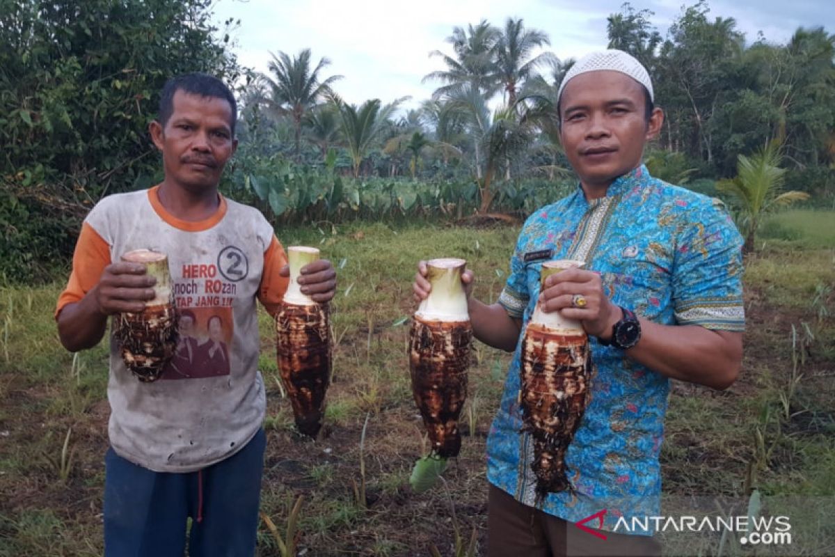 Singkawang pasarkan olahan kripik UKM ke Malaysia