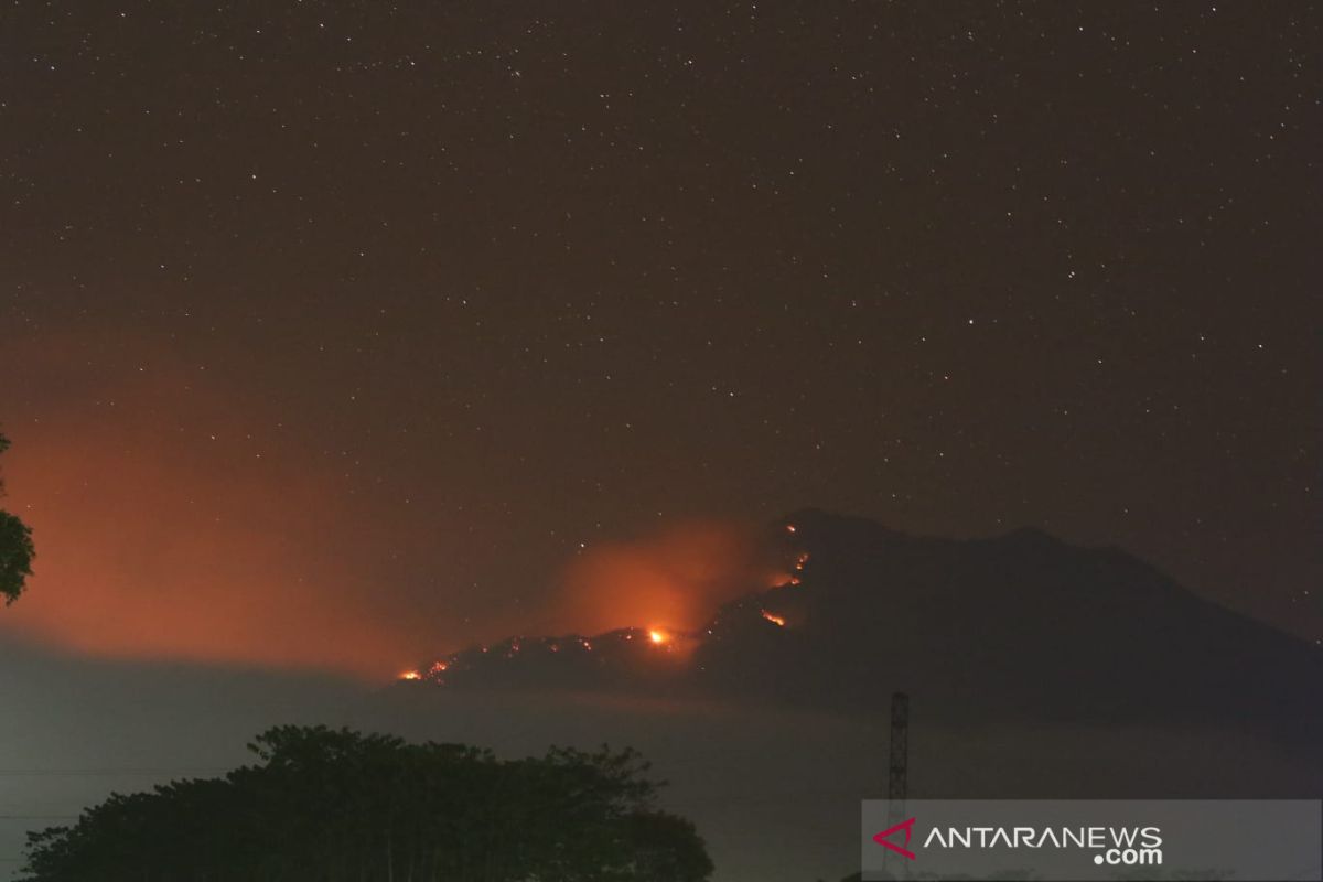 13 pendaki terjebak kebakaran di Gunung Raung berhasil turun