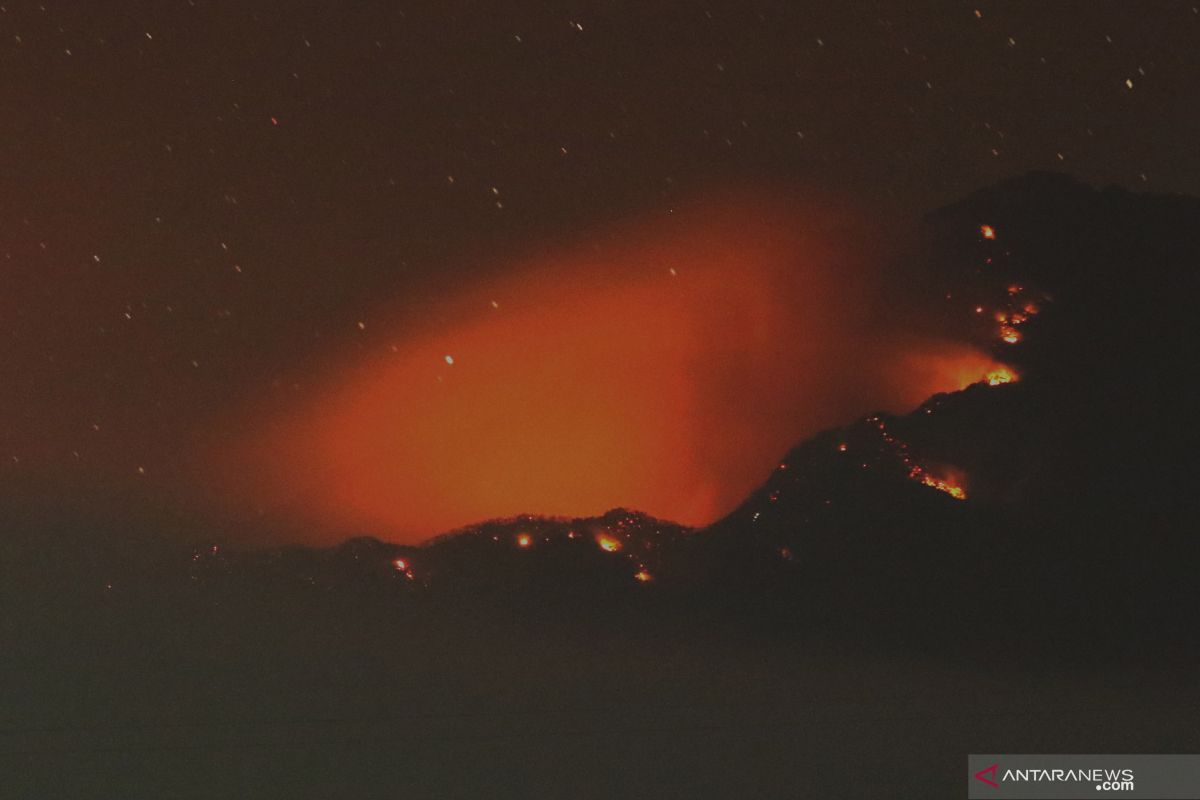 13 pendaki terjebak kebakaran di Gunung Raung Banyuwangi dalam proses evakuasi