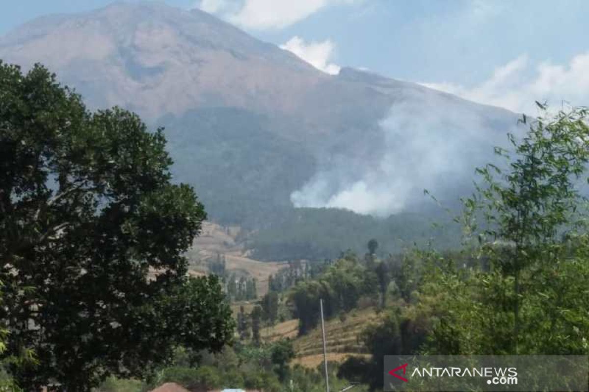 Area hutan di lereng Gunung Sumbing terbakar