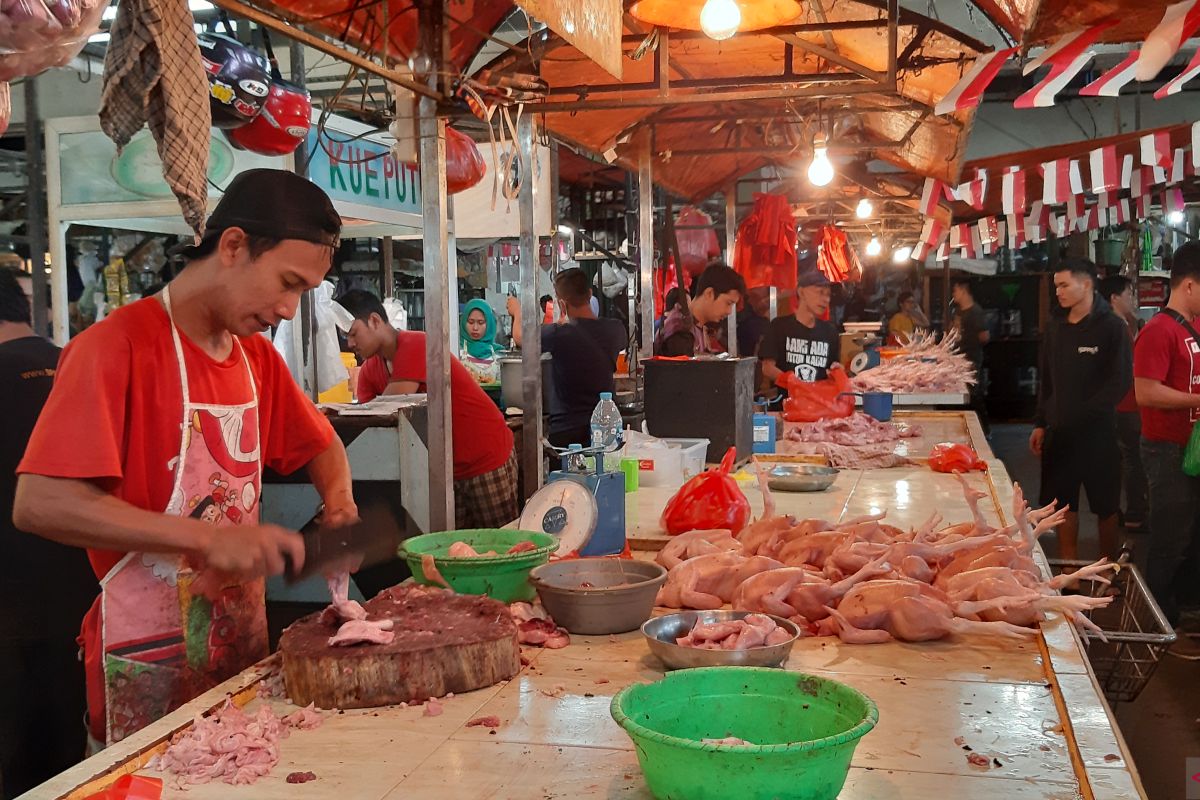 Harga daging ayam di Pontianak kembali naik tembus Rp28.000 per kg